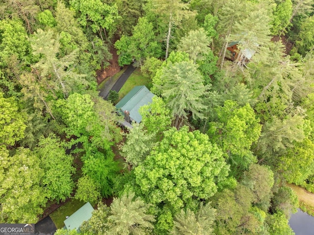 168 Spring Lake Dr, Ellijay, GA 30536