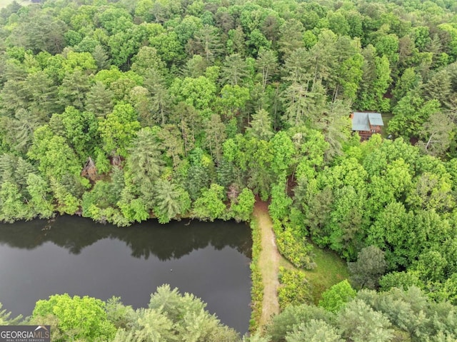 168 Spring Lake Dr, Ellijay, GA 30536