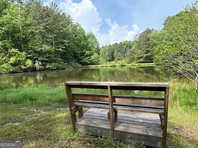 168 Spring Lake Dr, Ellijay, GA 30536