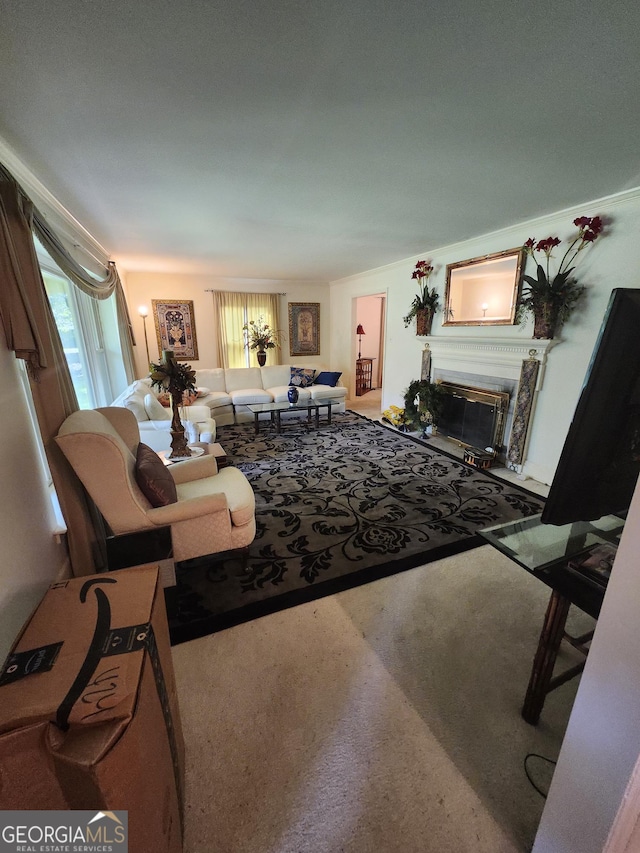 5001 Old Dawson Rd, Albany, GA 31721 - carpeted living area featuring a glass covered fireplace