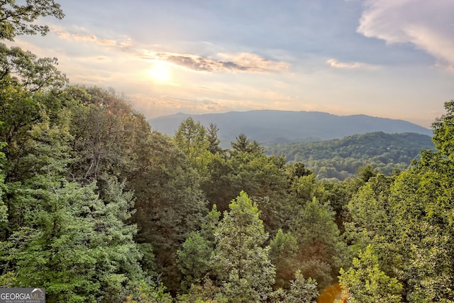 63 Maple Ridge Trl, Clayton, GA 30525 - view of mountain background with a forest
