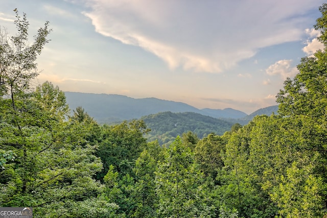 63 Maple Ridge Trl, Clayton, GA 30525 - view of mountain backdrop featuring a forest