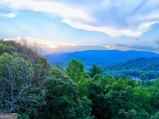 63 Maple Ridge Trl, Clayton, GA 30525 - mountain view with a heavily wooded area