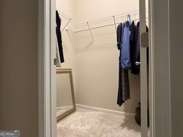 4636 SW Silver Oak Dr SW, Gainesville, GA 30504 - walk in closet featuring carpet flooring