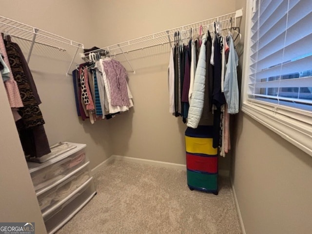 4636 SW Silver Oak Dr SW, Gainesville, GA 30504 - walk in closet featuring carpet floors