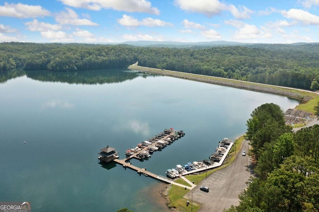 103 Marina Parc Dr, Waleska, GA 30183 - drone / aerial view of a forest