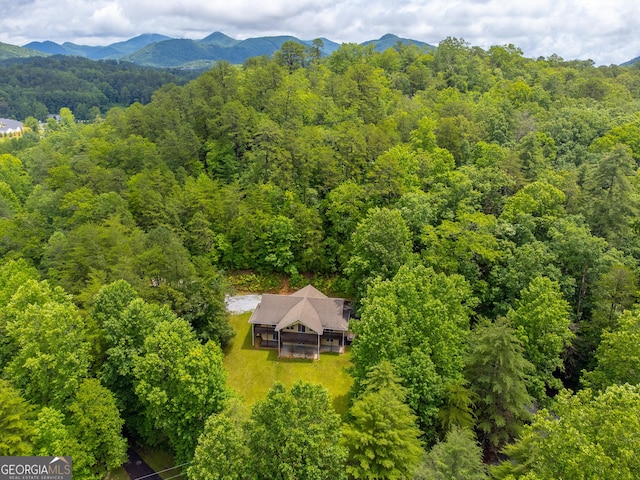 55 Cool Spring Ln, Clayton, GA 30525 - view of subject property with a heavily wooded area