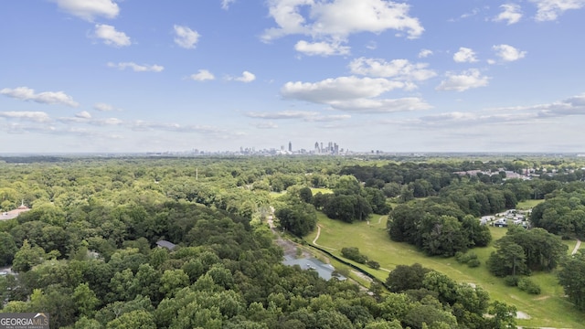 1004 Bayrose Cir, East Point, GA 30344 - bird's eye view of skyline and a forest