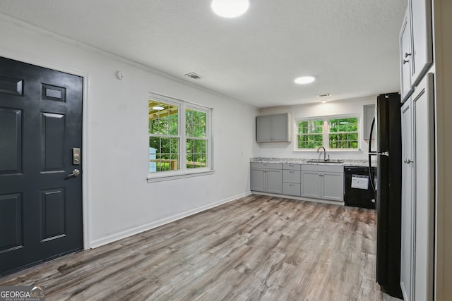 1469 Tabernacle Church Rd, Lincolnton, GA 30817 - kitchen featuring gray cabinetry, black appliances, light wood-style floors, a textured ceiling, and ornamental molding