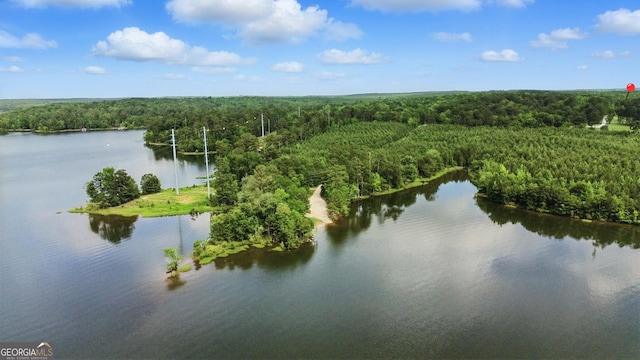 1469 Tabernacle Church Rd, Lincolnton, GA 30817 - drone / aerial view of a forest and a nearby body of water