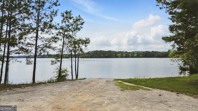 1469 Tabernacle Church Rd, Lincolnton, GA 30817 - water view with a heavily wooded area