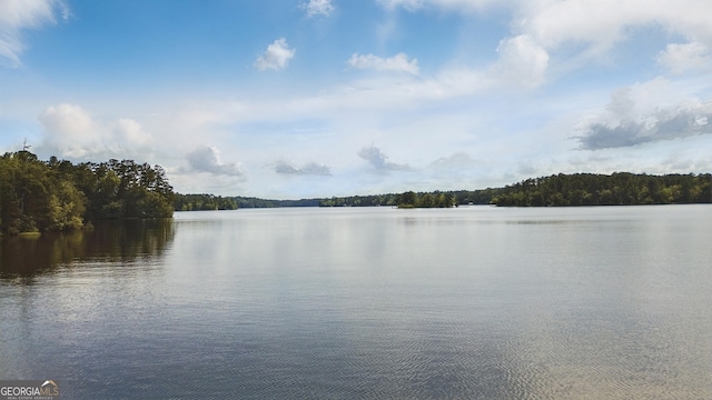 1469 Tabernacle Church Rd, Lincolnton, GA 30817 - water view featuring a heavily wooded area