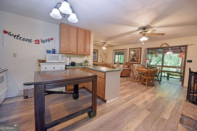 780 Watson Gap Rd, Mineral Bluff, GA 30559 - kitchen with white microwave, a peninsula, light wood-type flooring, and a ceiling fan