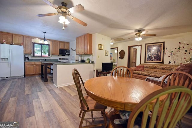 780 Watson Gap Rd, Mineral Bluff, GA 30559 - dining space with a ceiling fan and dark wood-style flooring