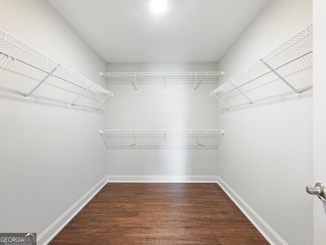9701 Davis St, Braselton, GA 30517 - walk in closet featuring wood finished floors