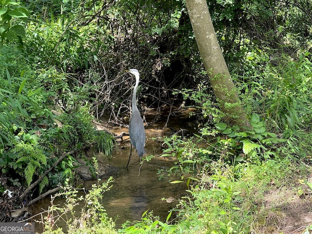 9701 Davis St, Braselton, GA 30517 - view of nature
