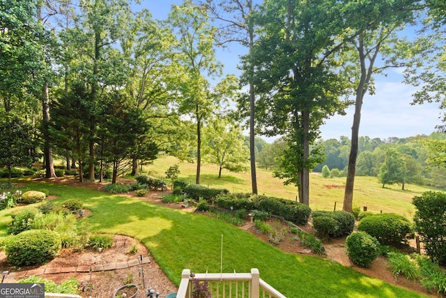 281 Hightower Lake Trl, Ball Ground, GA 30107 - view of grassy yard