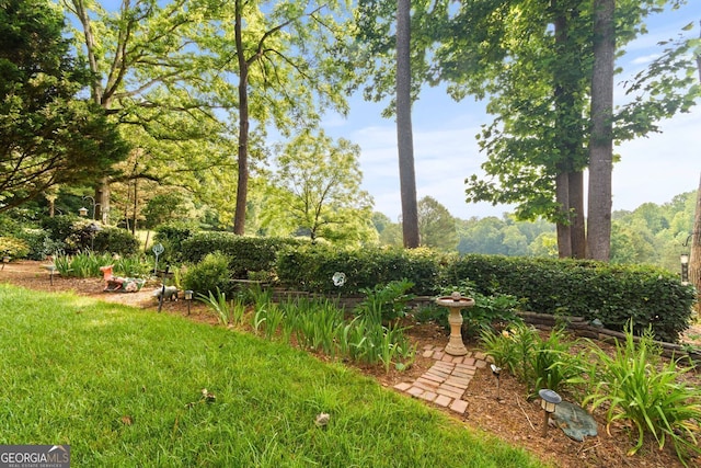 281 Hightower Lake Trl, Ball Ground, GA 30107 - view of yard