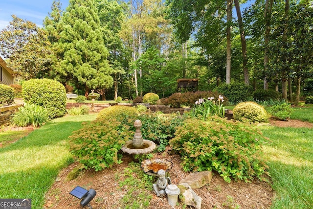 281 Hightower Lake Trl, Ball Ground, GA 30107 - view of yard featuring view of scattered trees