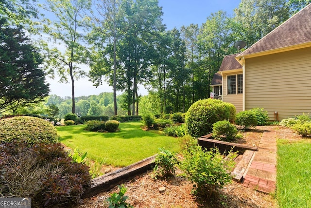 281 Hightower Lake Trl, Ball Ground, GA 30107 - view of green lawn