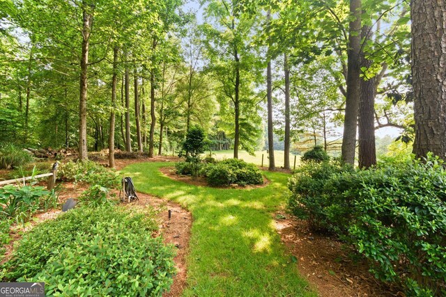 281 Hightower Lake Trl, Ball Ground, GA 30107 - view of yard