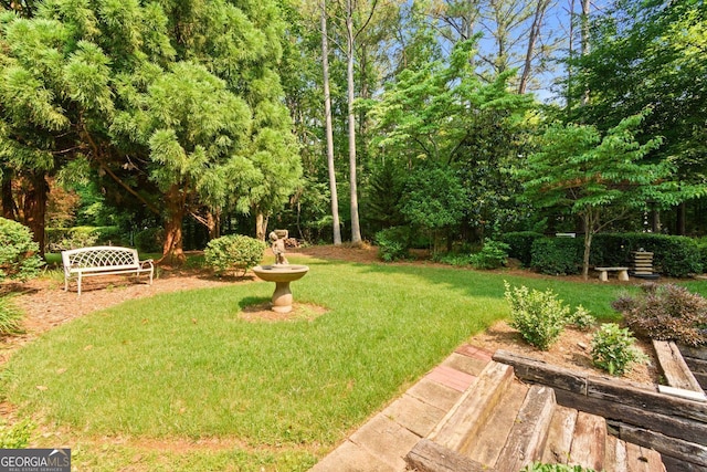 281 Hightower Lake Trl, Ball Ground, GA 30107 - view of grassy yard featuring view of wooded area