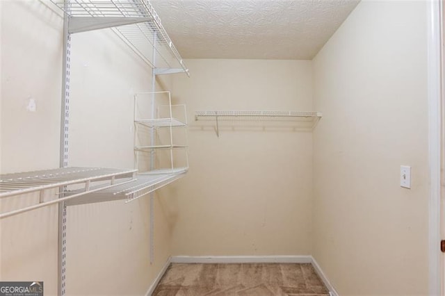 738 Baskins, Winder, GA 30680 - walk in closet with light colored carpet