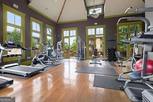 1195 Milton Ter Unit 5204, Atlanta, GA 30315 - exercise room featuring a towering ceiling, wood finished floors, and french doors
