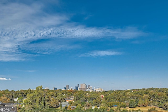 1195 Milton Ter Unit 5204, Atlanta, GA 30315 - view of city