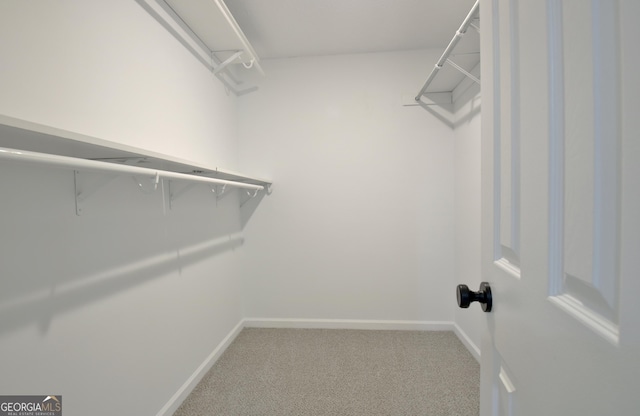 110 Chesterfield Ct, Fayetteville, GA 30214 - walk in closet with carpet floors