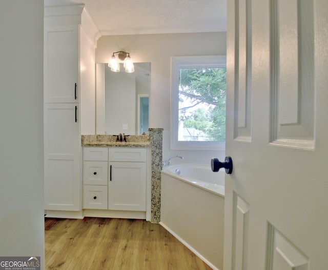 110 Chesterfield Ct, Fayetteville, GA 30214 - bathroom featuring a bath, vanity, and wood finished floors