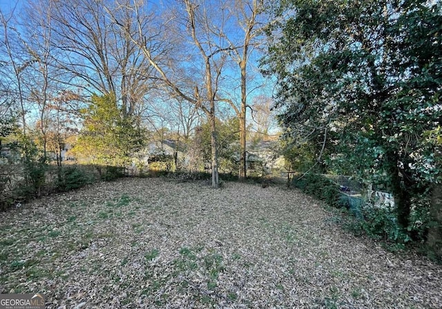 535 Walnut St, Hapeville, GA 30354 - view of yard