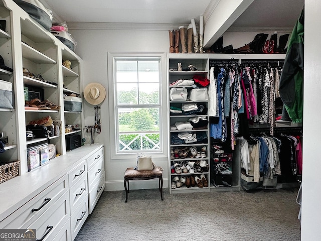 7093 Vaughn Rd, Canton, GA 30115 - walk in closet with carpet floors