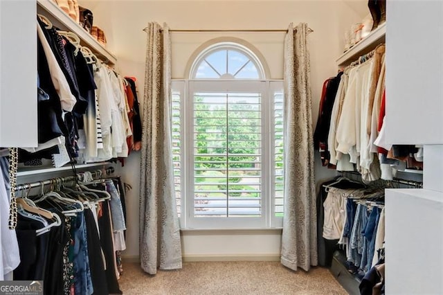 121 Fairway Overlook, Woodstock, GA 30188 - spacious closet featuring carpet flooring