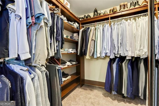 121 Fairway Overlook, Woodstock, GA 30188 - spacious closet with carpet floors