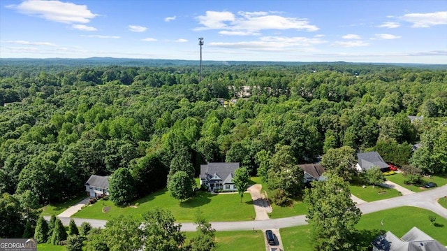 221 Timber Ridge Dr, Clarkesville, GA 30523 - aerial view of a forest