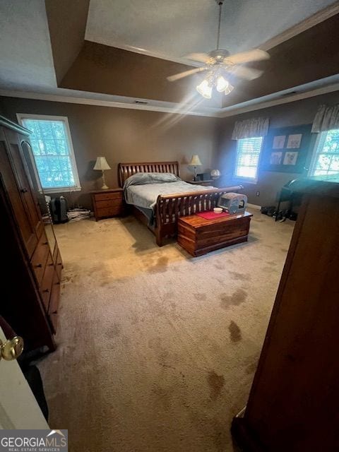 974 Bloomfield Dr, Lawrenceville, GA 30044 - bedroom featuring carpet flooring, a ceiling fan, and a raised ceiling