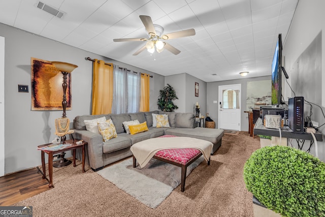 116 Rickman St, Toccoa, GA 30577 - living area with a ceiling fan and wood finished floors