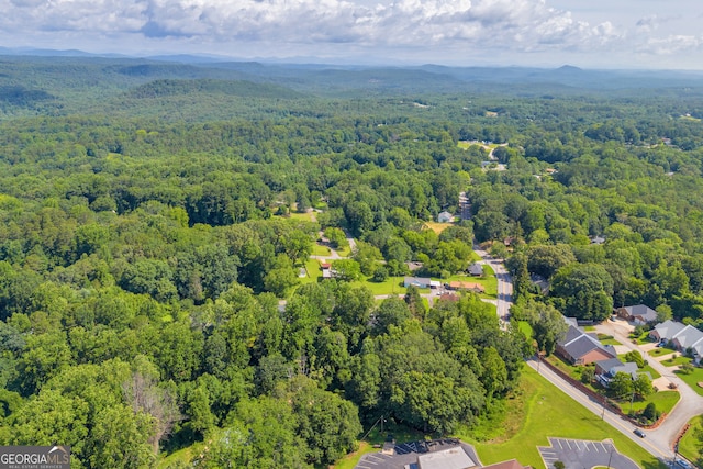 116 Rickman St, Toccoa, GA 30577 - aerial view of a forest and a mountainous background
