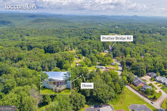 116 Rickman St, Toccoa, GA 30577 - aerial view of a heavily wooded area and a mountain backdrop