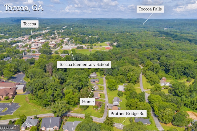116 Rickman St, Toccoa, GA 30577 - aerial view of property's location featuring a forest and nearby suburban area
