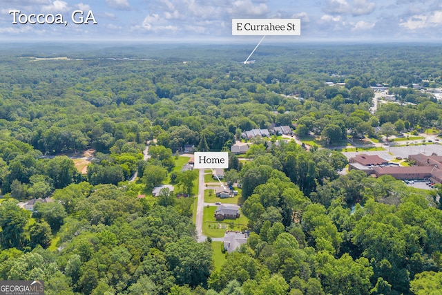 116 Rickman St, Toccoa, GA 30577 - aerial view of a forest