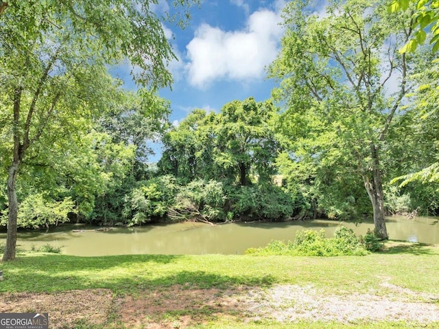 2092 Pleasant Hill Rd NE, Ranger, GA 30734 - view of grassy yard featuring a water view