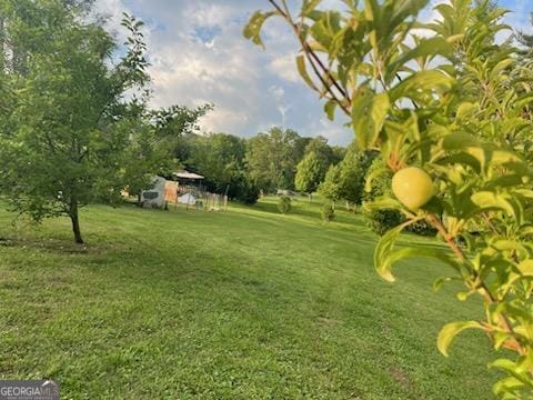 4253 Swallows Creek Rd, Hiawassee, GA 30546 - view of grassy yard