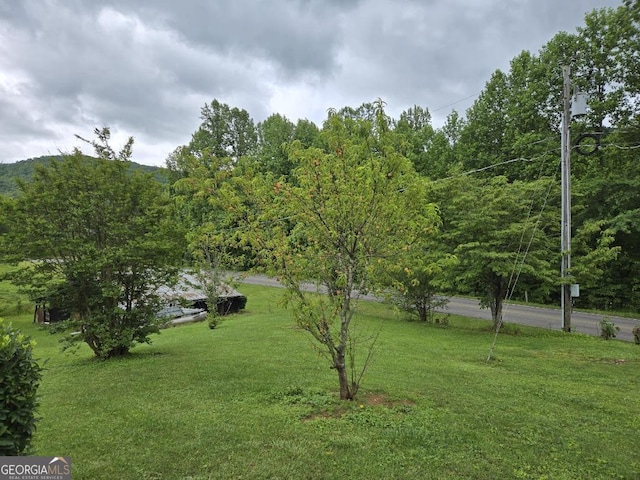 4253 Swallows Creek Rd, Hiawassee, GA 30546 - view of green lawn