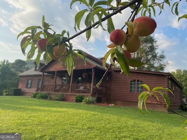 4253 Swallows Creek Rd, Hiawassee, GA 30546 - view of front of house featuring a front yard and covered porch