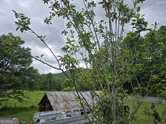 4253 Swallows Creek Rd, Hiawassee, GA 30546 - exterior view of a heavily wooded area
