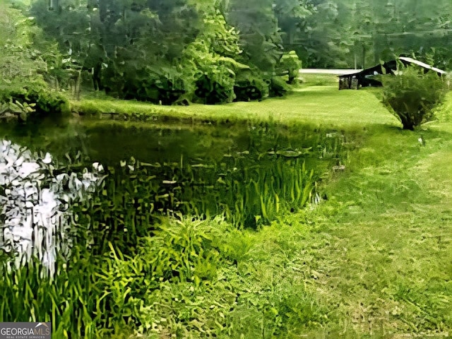 4253 Swallows Creek Rd, Hiawassee, GA 30546 - view of yard with a water view