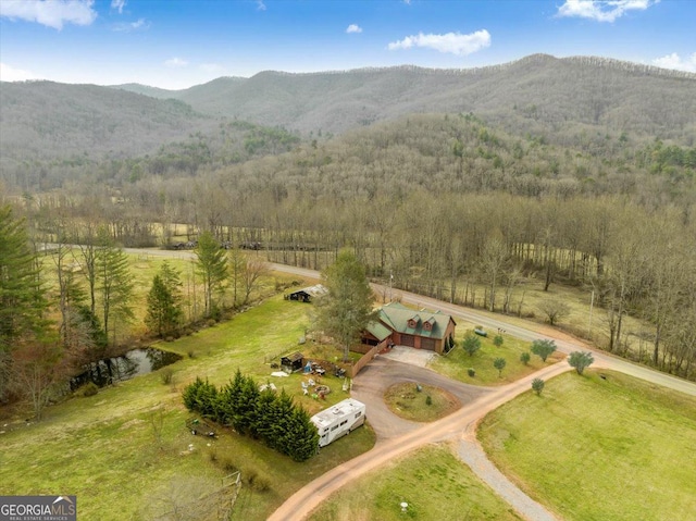 4253 Swallows Creek Rd, Hiawassee, GA 30546 - overview of rural landscape with a mountain backdrop and a forest