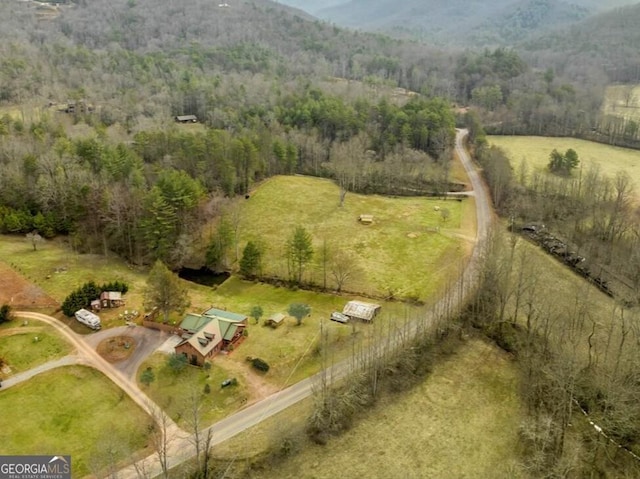 4253 Swallows Creek Rd, Hiawassee, GA 30546 - overview of rural landscape featuring a forest and mountains